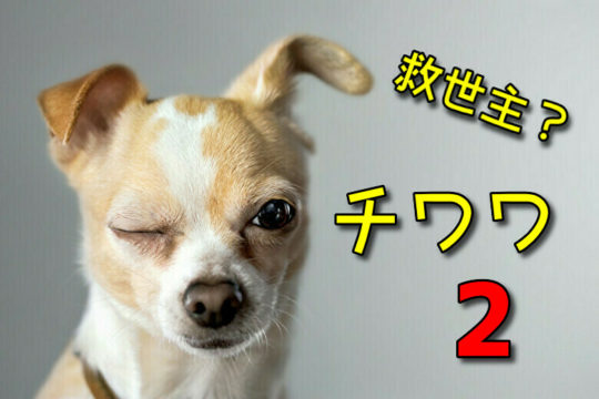 チワワ2はFX自動売買業界の救世主?初号機チワワEAとの違い